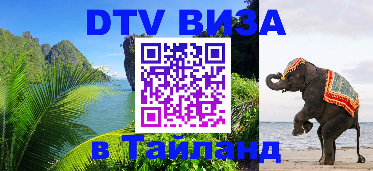 Сколько стоит DTV виза — актуальные цены, оформление даже без документов - Набережные Челны  19.11.2025 